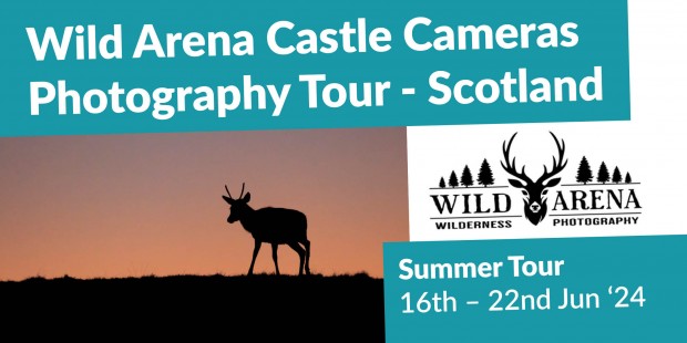 Wild Arena Castle Cameras Photography Tour - Scotland, Summer 2024