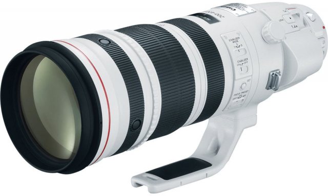 Canon EF 200-400mm f4L IS USM lens with 1.4x Extender
