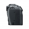 Canon Canon EOS R8 Mirrorless Camera Body