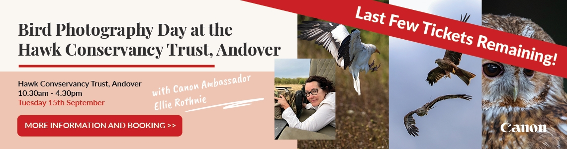 CSW Bird Photography Event 