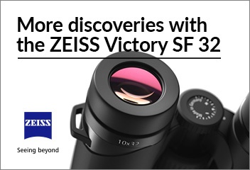 Zeiss Victory SF
