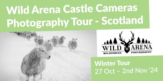 Wild Arena Castle Cameras Photography Tour - Scotland, Winter 2024