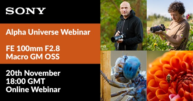 Sony Alpha Universe – Macro photography with the Sony FE 100mm F2.8 Macro GM OSS