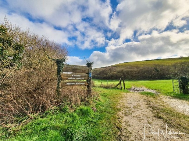 Wellbeing Photography Walk with Paul Williams