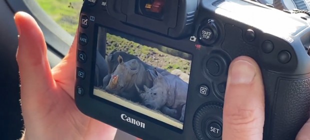 Canon Facebook Live: Rhino Safari Photography with Wild Arena 