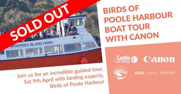 Birds of Poole Harbour boat tour with Canon