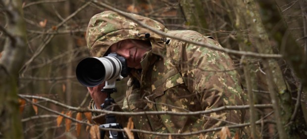 Choosing the Best Camera for Wildlife Photography