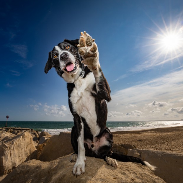 The Lost Art of Fill-In Flash