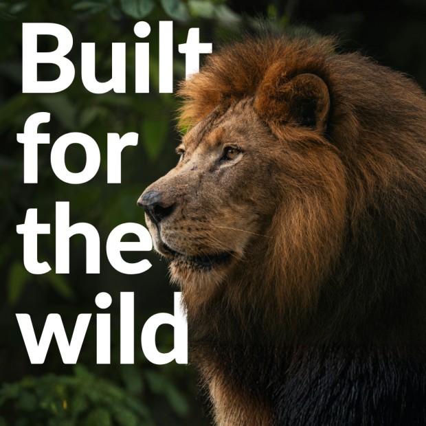 Built for the Wild