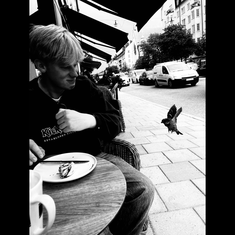 Bird Ambush by Scott Binnendijk