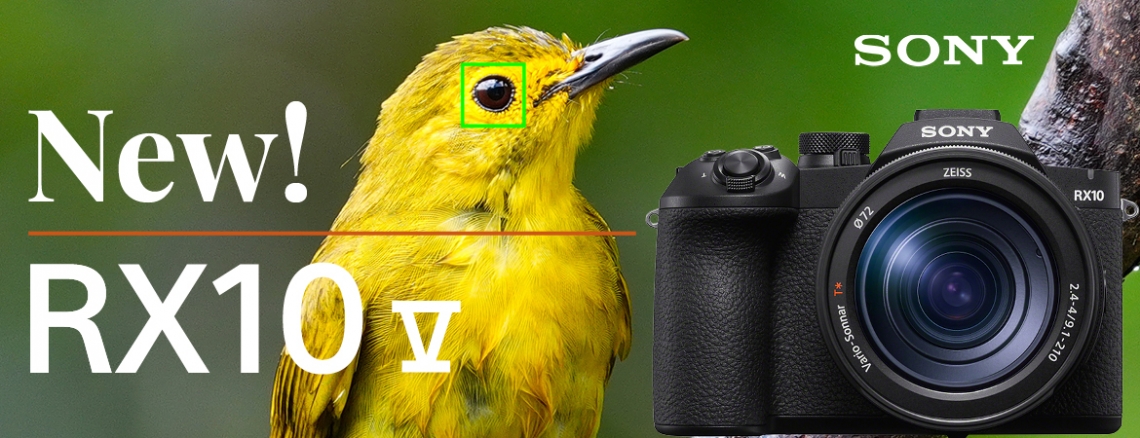 New! Sony RX10 V
