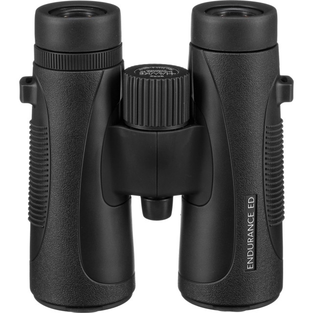 Hawke endurance ed 8x42 sales binoculars