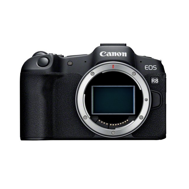 What is a Mirrorless Camera?