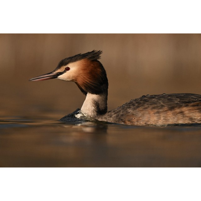 Nikon Nikkor Z 180-600mm f5.6-6.3 VR Nikon 180-600mm f5-6.3 VC First