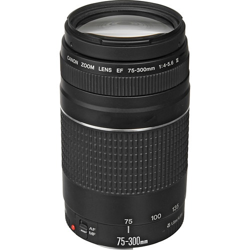 Canon Canon EF 75-300mm f4.0-5.6 III Zoom Lens