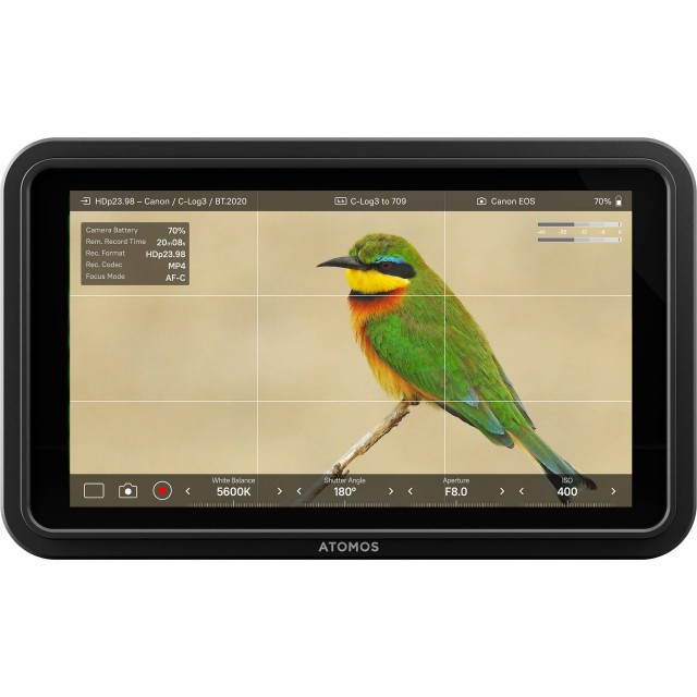Atomos Shinobi II | £322.00 - Castle Cameras