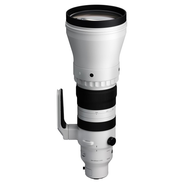 Sigma 300-600mm F4 DG OS Sports lens for Sony E Castle Cameras