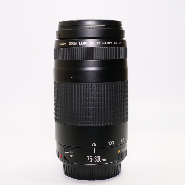 Canon Used Canon EF 75-300mm f4-5.6 II lens