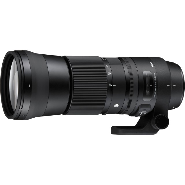 Sigma 150-600mm F5-6.3 C Canonマウント Sigma 150-600mm F5-6.3 DG OS HSM Contemporary for Canon EF