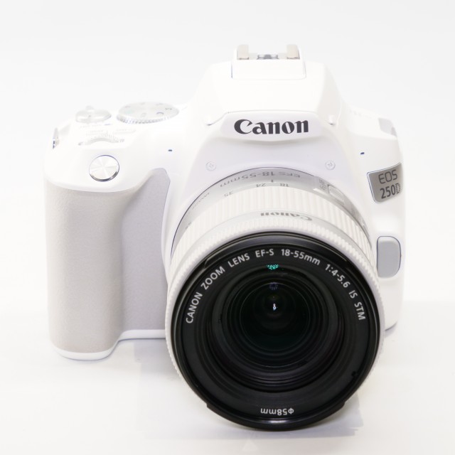 Canon Used Canon EOS 250D DSLR with 18-55mm lens