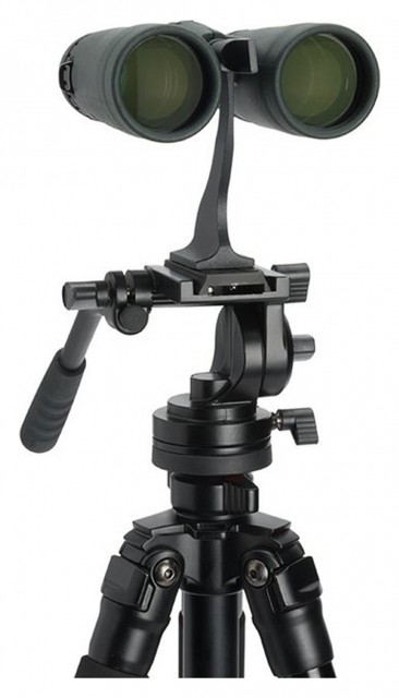 Celestron TrailSeeker 10x42 Roof Prism Binoculars Castle Cameras