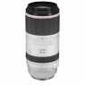 Canon RF 100-500mm f4.5-7.1 L IS USM lens