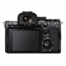 Sony Alpha 7SIII Mirrorless Camera Body