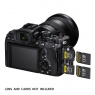 Sony Alpha 7SIII Mirrorless Camera Body