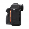 Sony Alpha 7SIII Mirrorless Camera Body