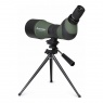 Celestron LandScout 20-60x80 Scope Kit with Tripod and Phone Adapter