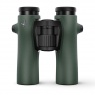 Swarovski 8x32 NL Pure Binoculars, Green