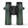 Swarovski 10x32 NL Pure Binoculars, Green