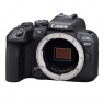 Canon Canon EOS R10 Mirrorless Camera Body