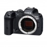 Canon Canon EOS R7 Mirrorless Camera body