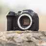 Canon Canon EOS R7 Mirrorless Camera body