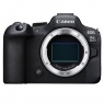 Canon Canon EOS R6 Mark II Mirrorless Camera Body