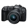 Canon Canon EOS R8 Mirrorless Camera with RF 24-50 lens