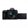 Lumix Panasonic Lumix DC-G9II Mirrorless Camera with 12-60mm Leica Lens