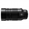 Lumix Panasonic 100-400mm f4.0-6.3 Leica DG Vario-Elmar II ASPH Power OIS lens