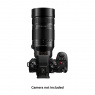 Lumix Panasonic 100-400mm f4.0-6.3 Leica DG Vario-Elmar II ASPH Power OIS lens