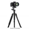 Celestron Celestron Hummingbird Tripod