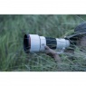 Sony Sony FE 300mm f2.8 G Master OSS lens