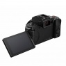 Lumix Panasonic Lumix DC-G100D Mirrorless Camera with 12-32mm Lens