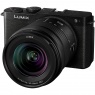 Panasonic Lumix S9 Mirrorless Camera with 20-60mm Lens
