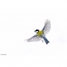 Sony Sony FE 400-800mm F6.3-8 G OSS | Super-Telephoto Zoom Lens