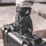 Sundry PGYTECH Photography Gloves, Professional XL