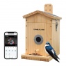 Sundry Camouflage EZ-NestEye Bird Box Camera