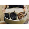 Peak Design Peak Design Everyday Backpack Zip 15L, Kelp