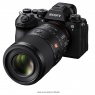 Sony Sony  FE 100mm F2.8 Macro GM OSS lens