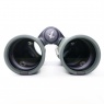 Swarovski Used Swarovski Optik 10x42 NL Pure Binoculars, Green